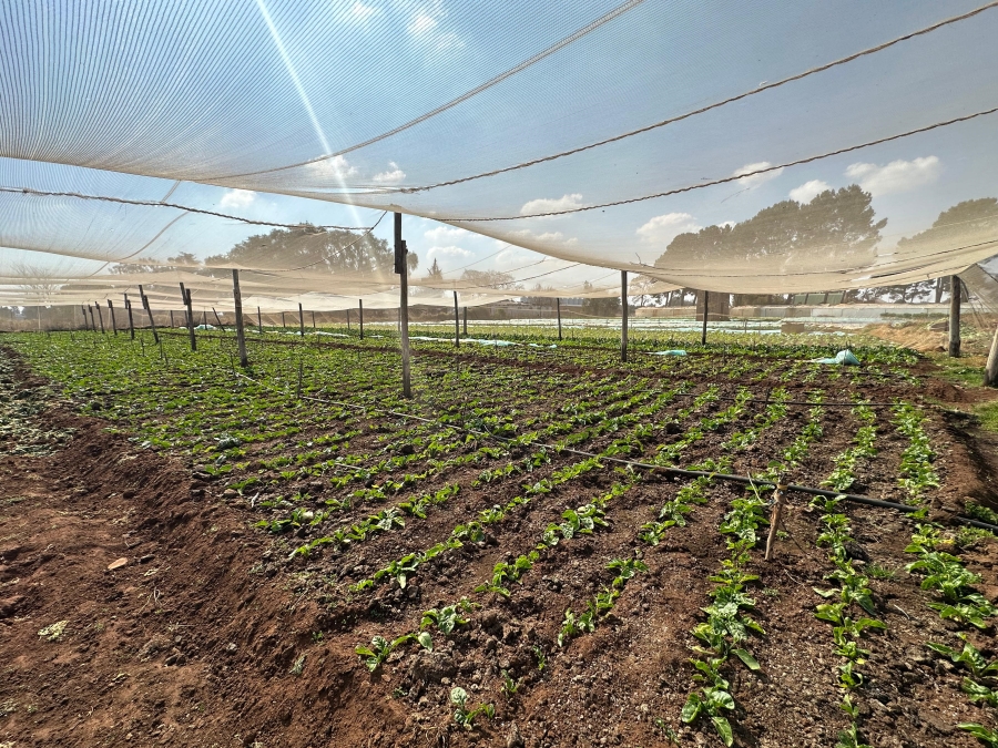 Commercial Property for Sale in Endicott Gauteng