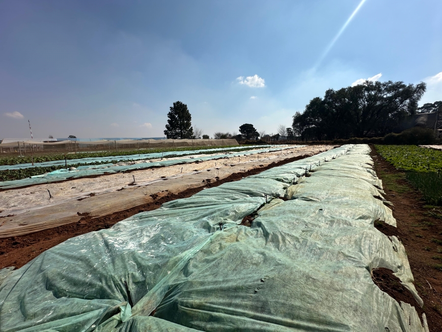 Commercial Property for Sale in Endicott Gauteng