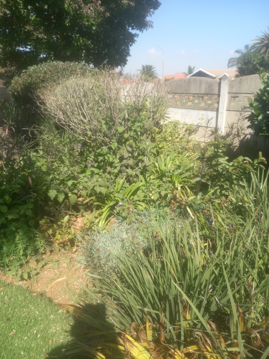 7 Bedroom Property for Sale in Birchleigh Gauteng