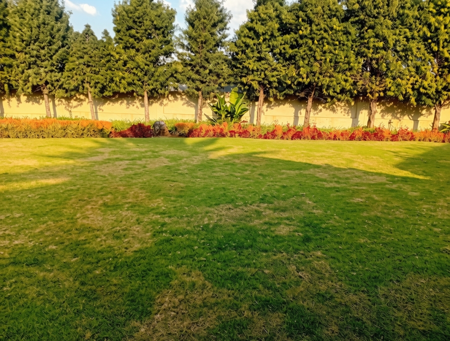 2 Bedroom Property for Sale in Bryanston Gauteng