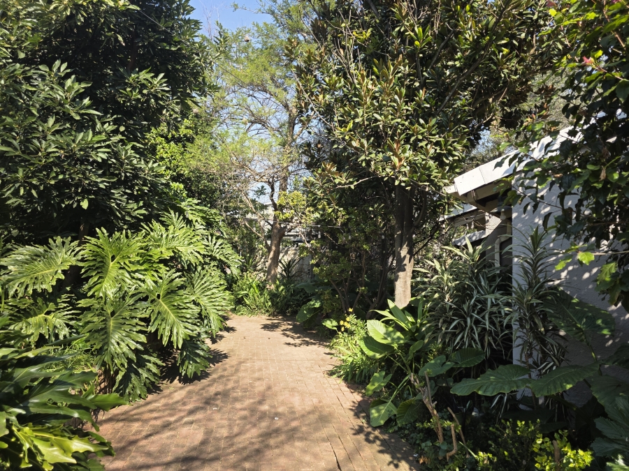 To Let 1 Bedroom Property for Rent in Morningside Gauteng