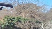 4 Bedroom Property for Sale in Stefano Park Gauteng