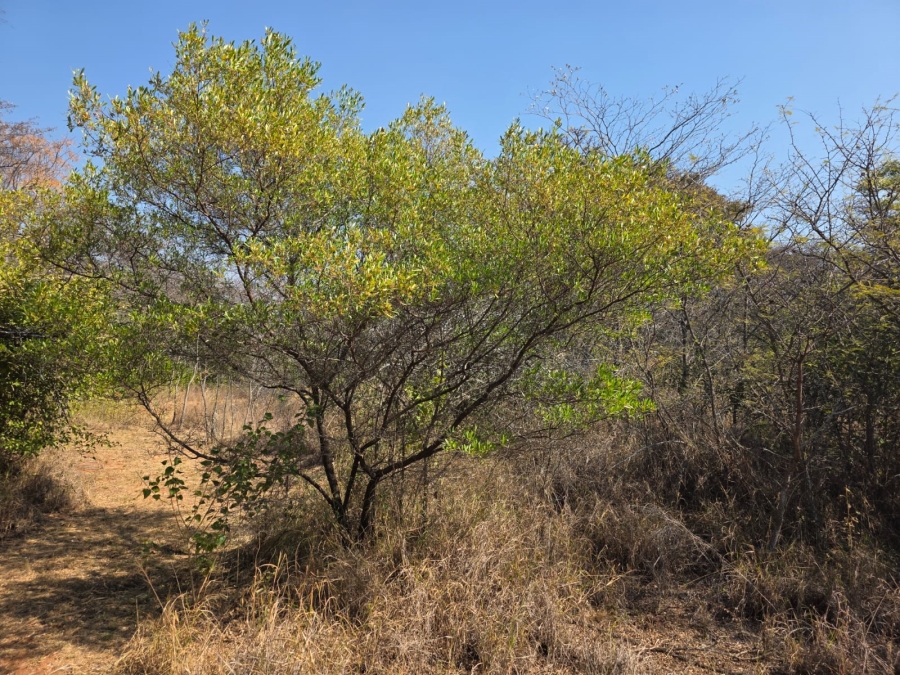 4 Bedroom Property for Sale in Kameelfontein Gauteng
