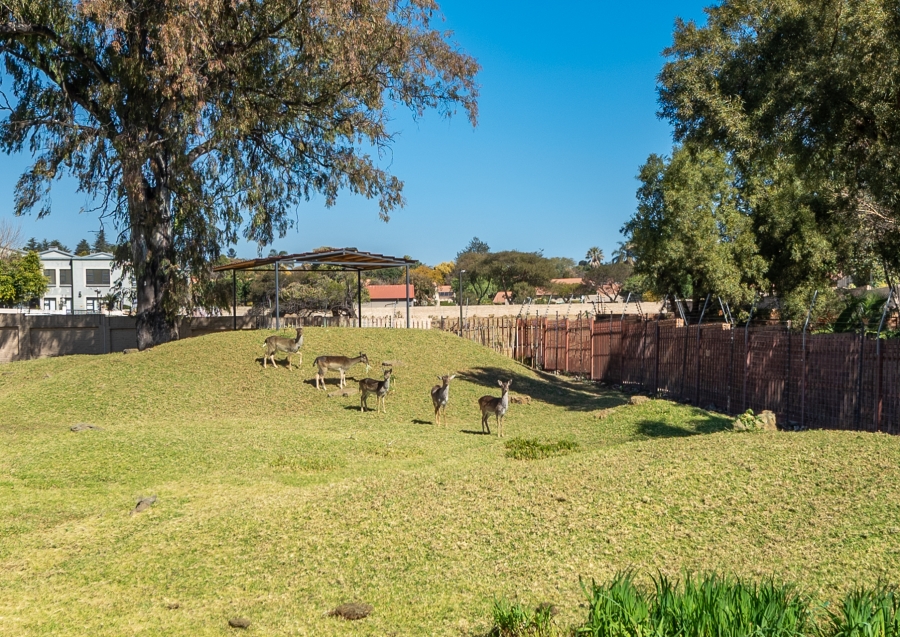 2 Bedroom Property for Sale in Randpark Ridge Gauteng