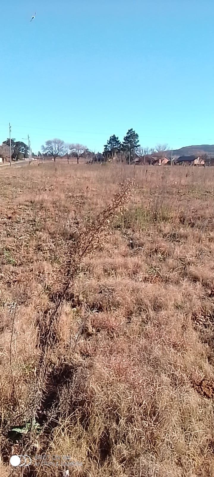 0 Bedroom Property for Sale in Heidelberg A H Gauteng