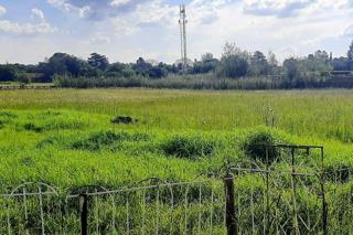 7 Bedroom Property for Sale in Bredell Gauteng