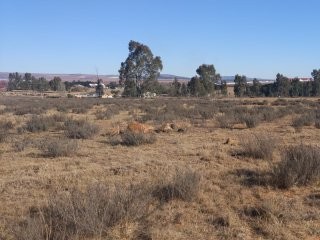 0 Bedroom Property for Sale in Kaydale Gauteng