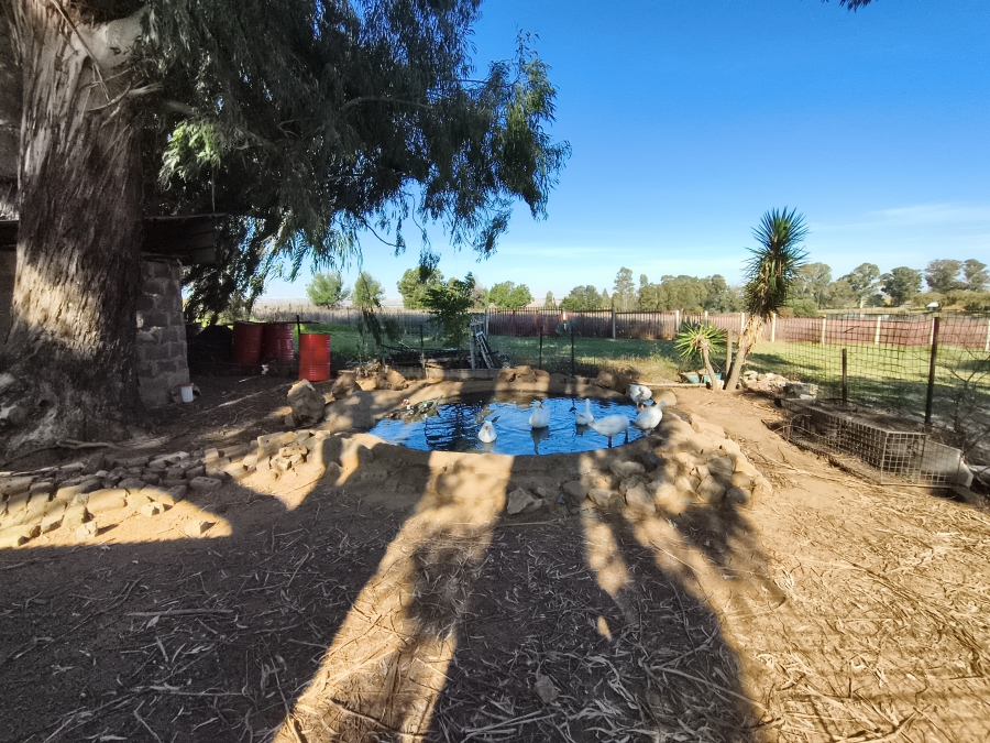 Commercial Property for Sale in Agricultural Holding 381 Gauteng