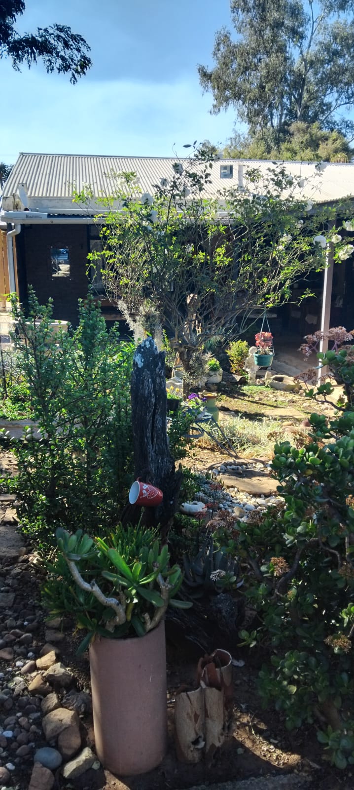 5 Bedroom Property for Sale in Cullinan Gauteng