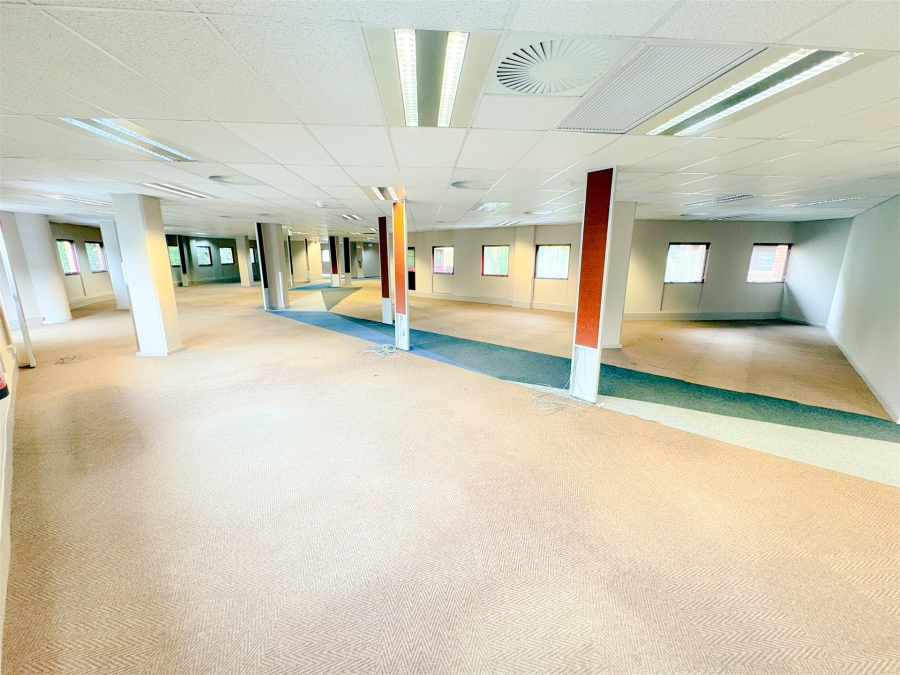 To Let Commercial Property for Rent in Parktown Gauteng