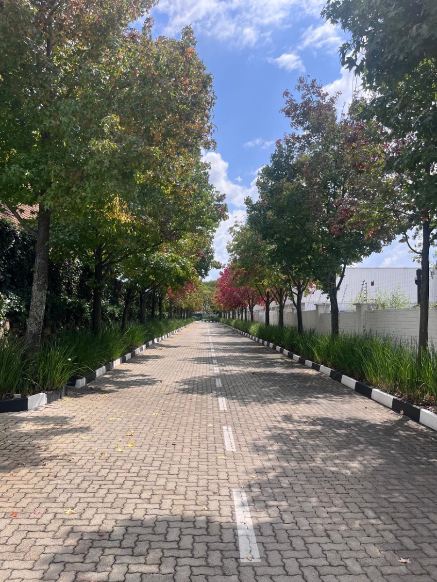 To Let Commercial Property for Rent in Randjespark Gauteng