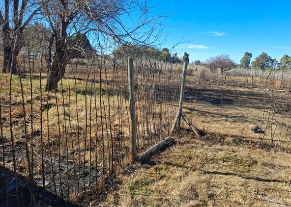 3 Bedroom Property for Sale in Middelvlei A H Gauteng
