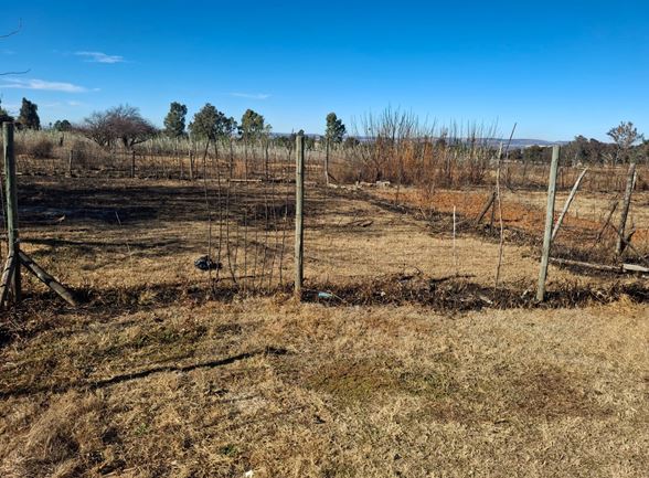 3 Bedroom Property for Sale in Middelvlei A H Gauteng