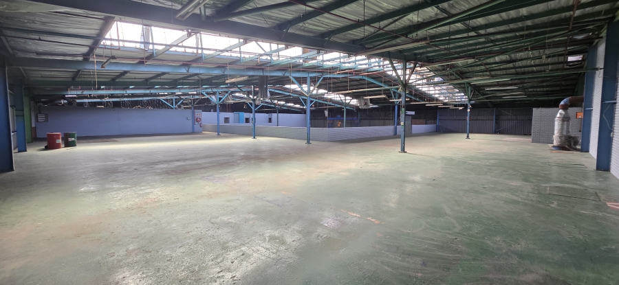 To Let Commercial Property for Rent in Industria West Gauteng