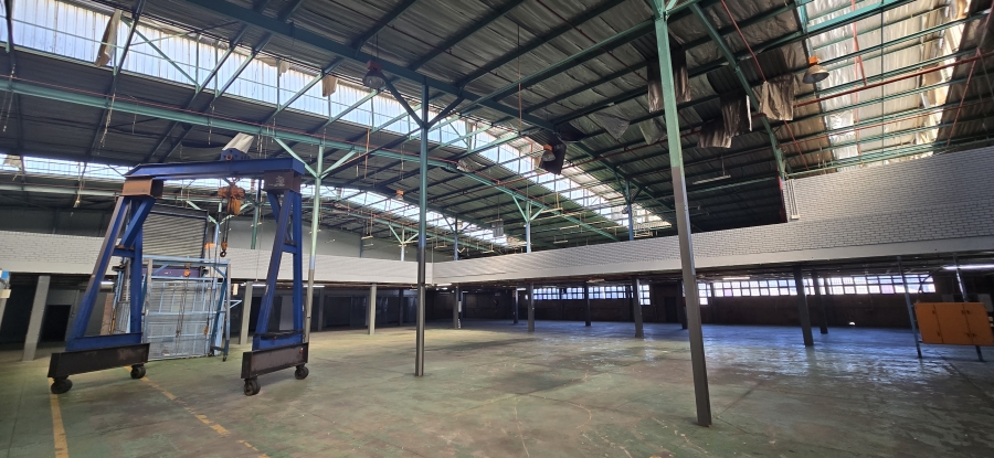 To Let Commercial Property for Rent in Industria West Gauteng