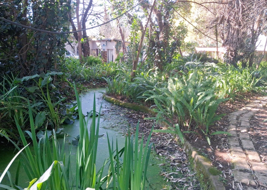 12 Bedroom Property for Sale in Glen Austin Gauteng