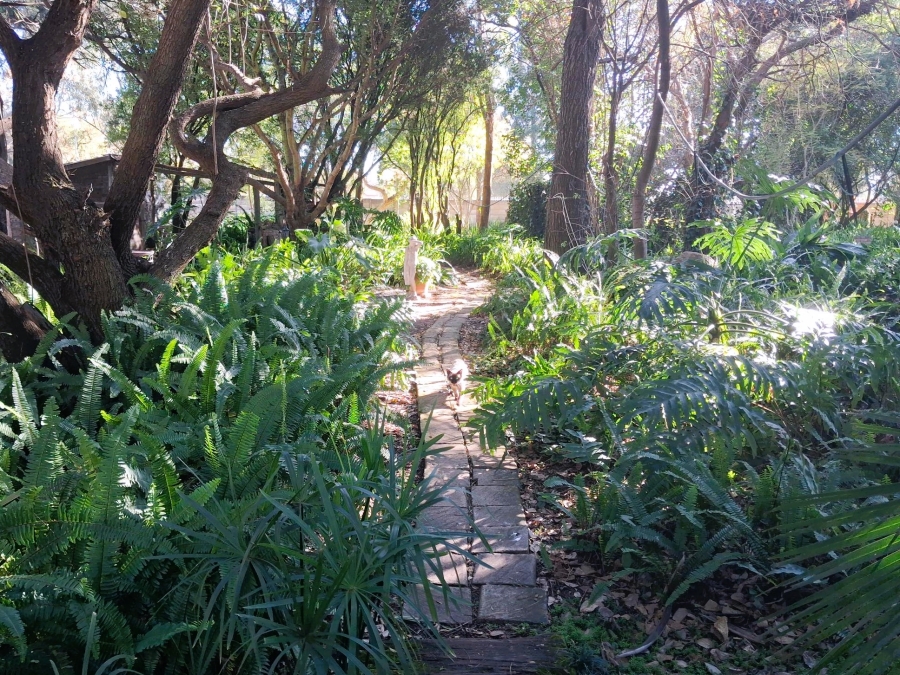 12 Bedroom Property for Sale in Glen Austin Gauteng