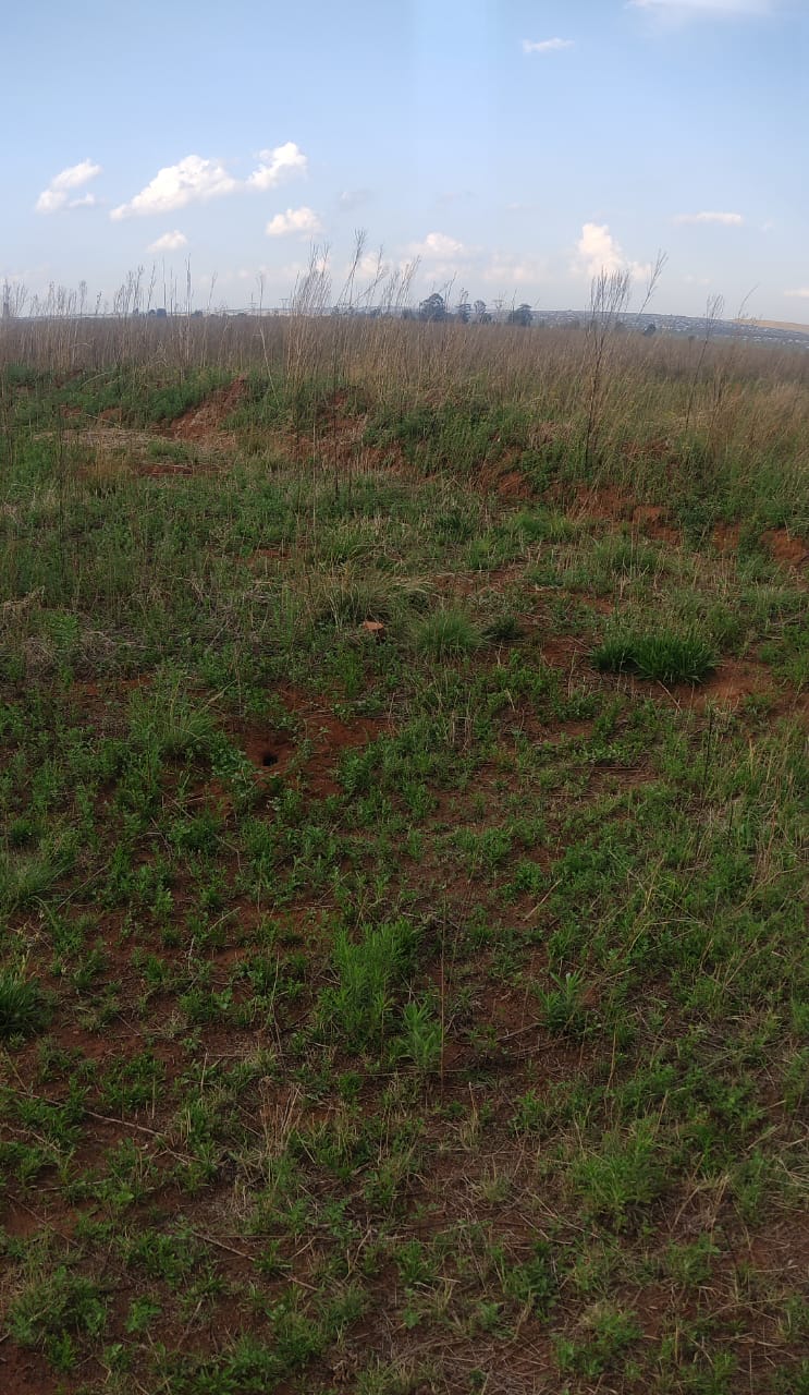 0 Bedroom Property for Sale in Stesa Gauteng