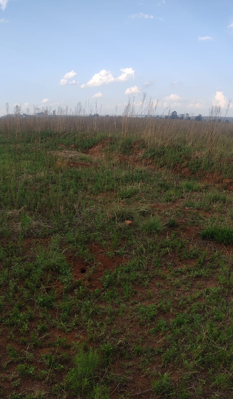 0 Bedroom Property for Sale in Stesa Gauteng