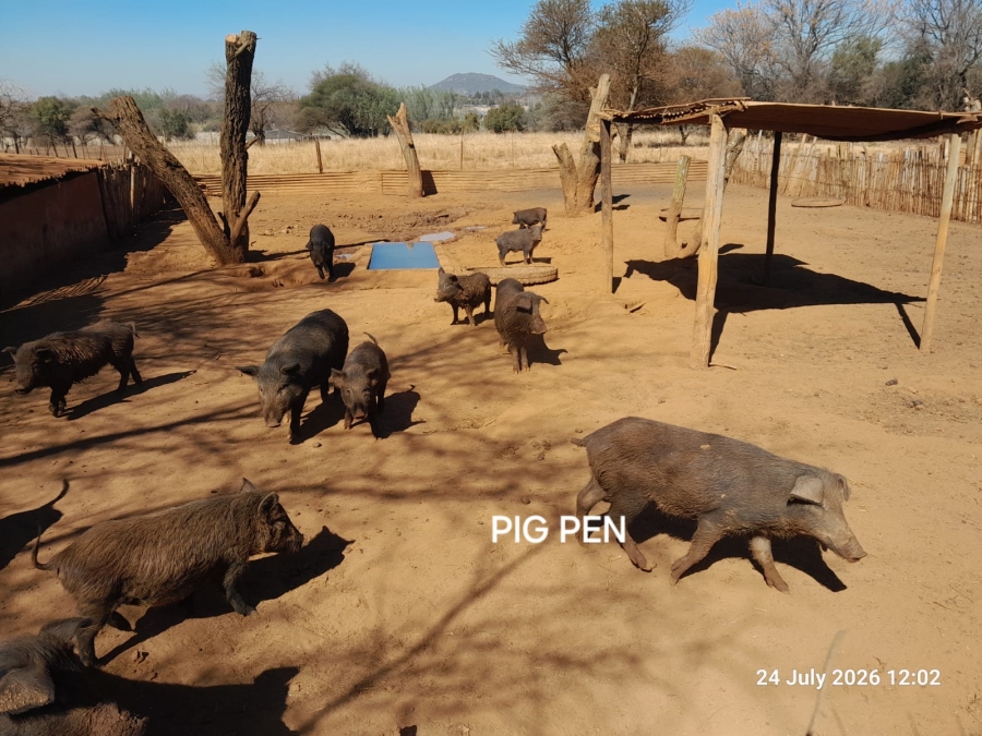 3 Bedroom Property for Sale in Pretoria North Gauteng