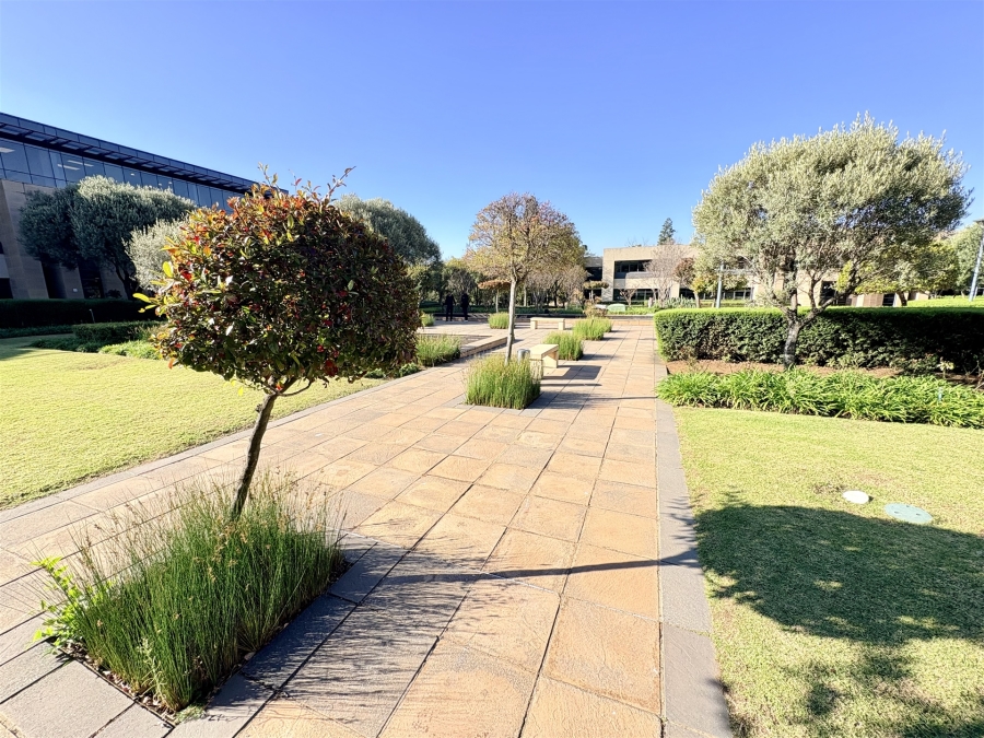 To Let Commercial Property for Rent in Bedfordview Gauteng