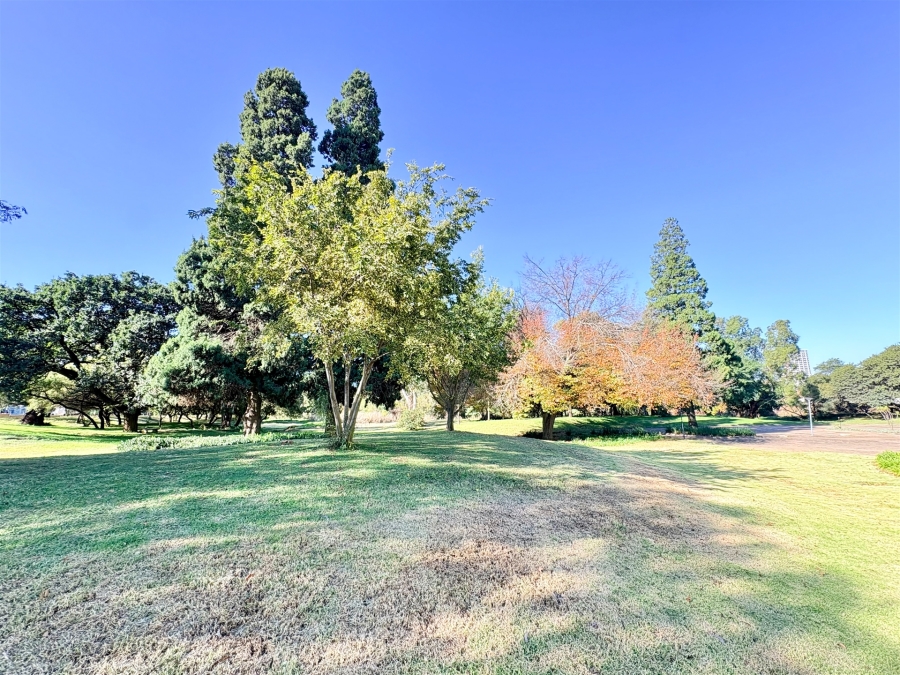 To Let Commercial Property for Rent in Bedfordview Gauteng