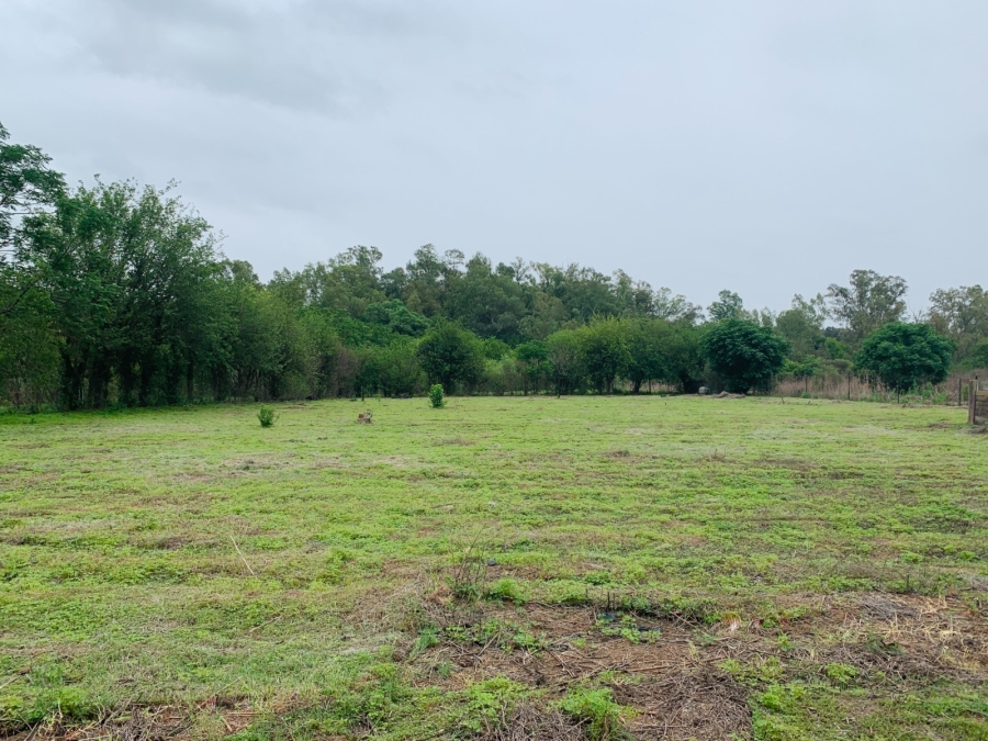 3 Bedroom Property for Sale in Mont Lorraine Gauteng