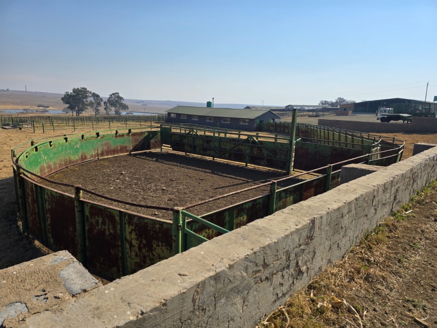 0 Bedroom Property for Sale in Devon Gauteng