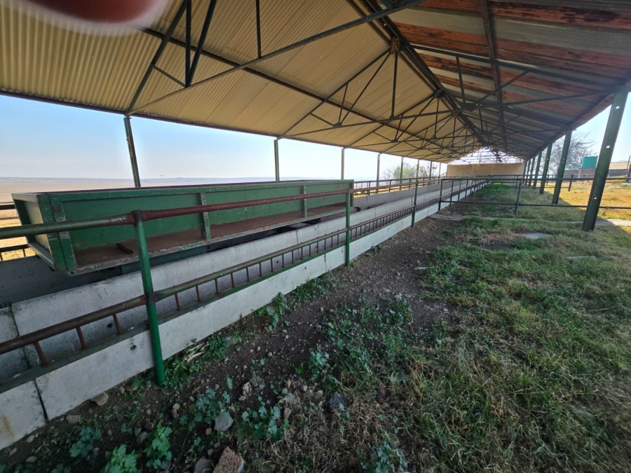 0 Bedroom Property for Sale in Devon Gauteng
