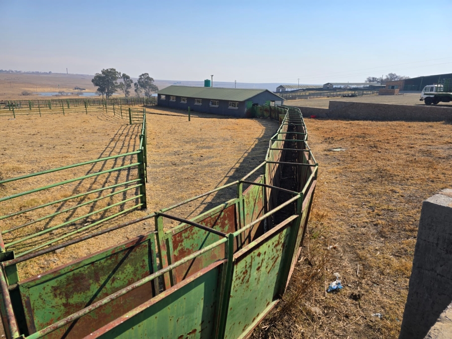 0 Bedroom Property for Sale in Devon Gauteng