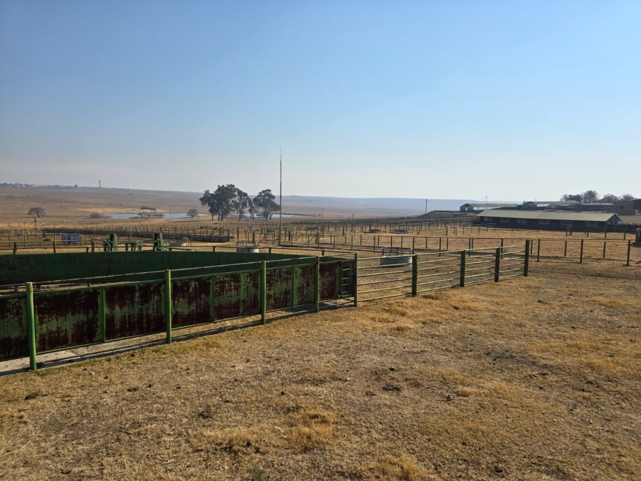0 Bedroom Property for Sale in Devon Gauteng