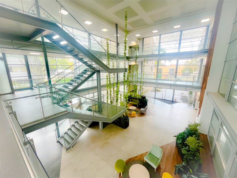To Let Commercial Property for Rent in Illovo Gauteng