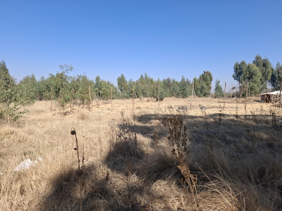 0 Bedroom Property for Sale in Middelvlei A H Gauteng