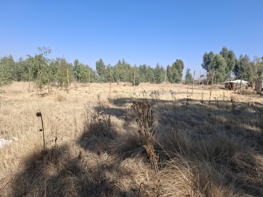 0 Bedroom Property for Sale in Middelvlei A H Gauteng