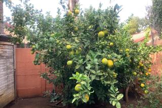 3 Bedroom Property for Sale in Liefde en Vrede Gauteng