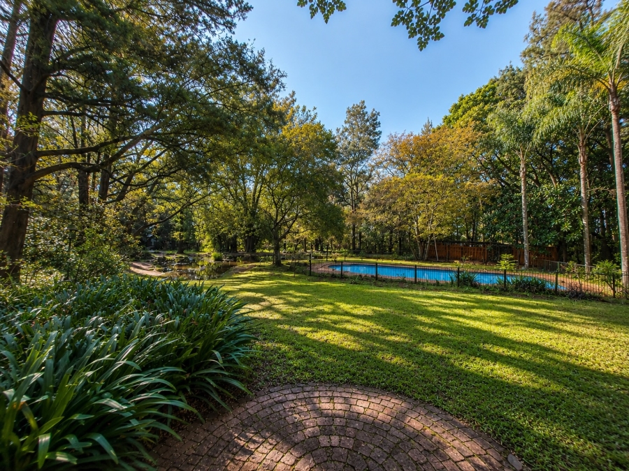 To Let 12 Bedroom Property for Rent in Equestria Gauteng