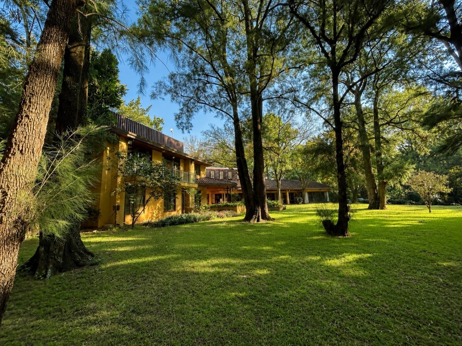 To Let 12 Bedroom Property for Rent in Equestria Gauteng