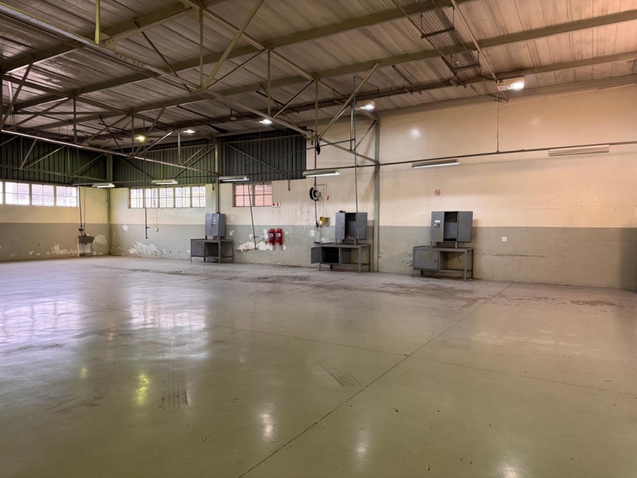 To Let Commercial Property for Rent in Bruma Gauteng