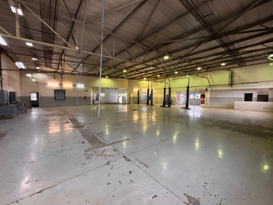 To Let Commercial Property for Rent in Bruma Gauteng