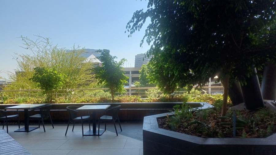 To Let Commercial Property for Rent in Sandton Central Gauteng