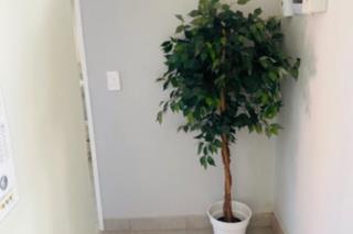 To Let 3 Bedroom Property for Rent in Terenure Gauteng
