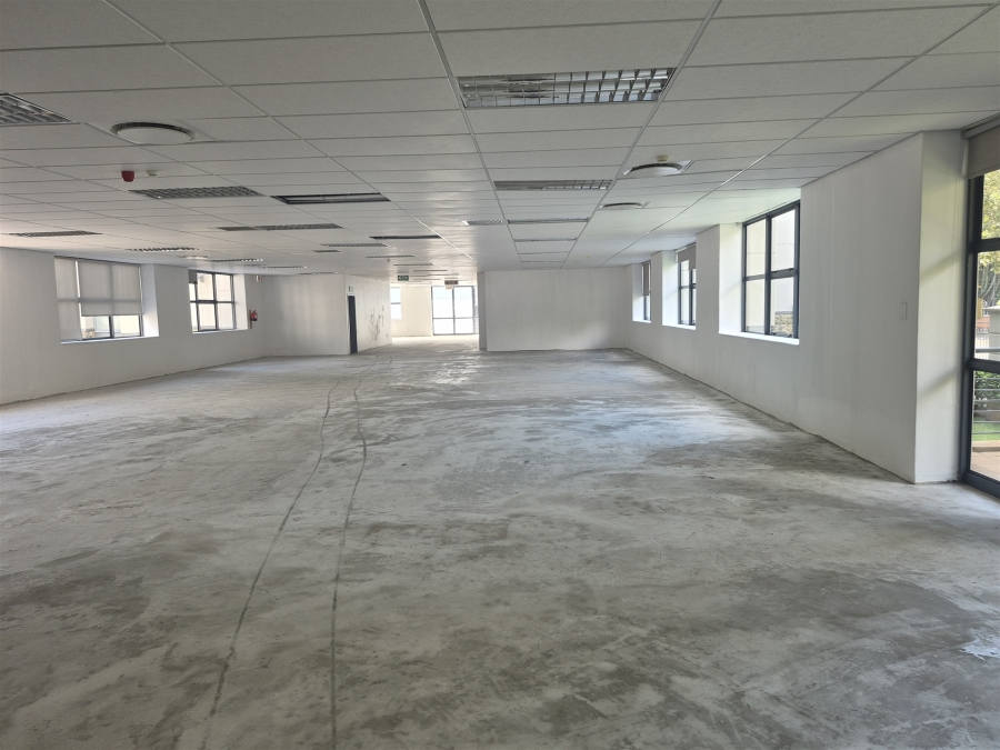 To Let Commercial Property for Rent in Illovo Gauteng