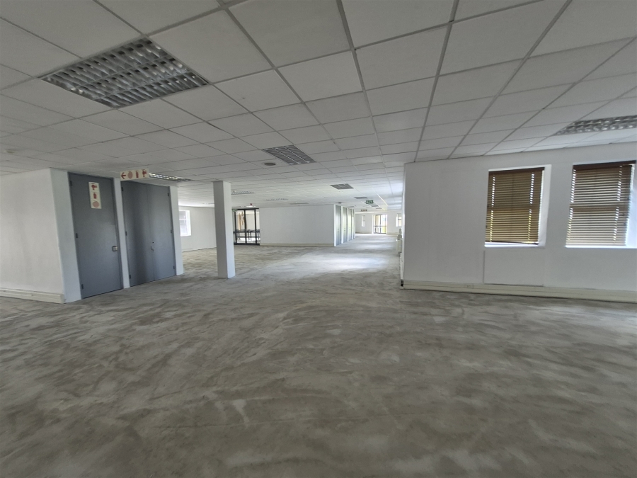 To Let Commercial Property for Rent in Illovo Gauteng