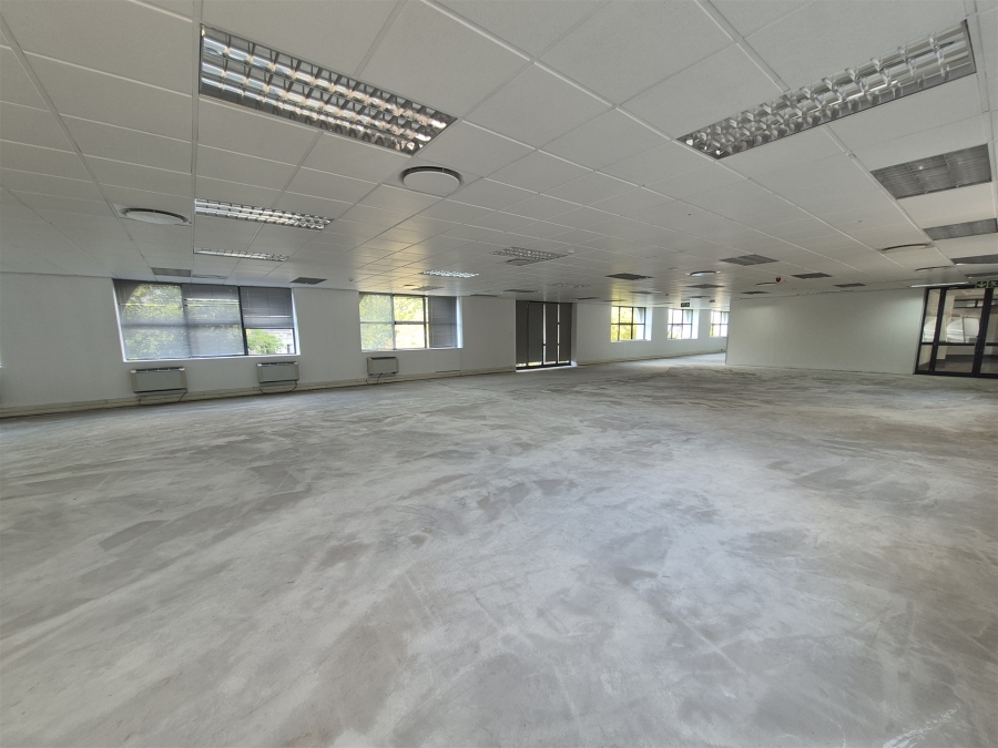 To Let Commercial Property for Rent in Illovo Gauteng