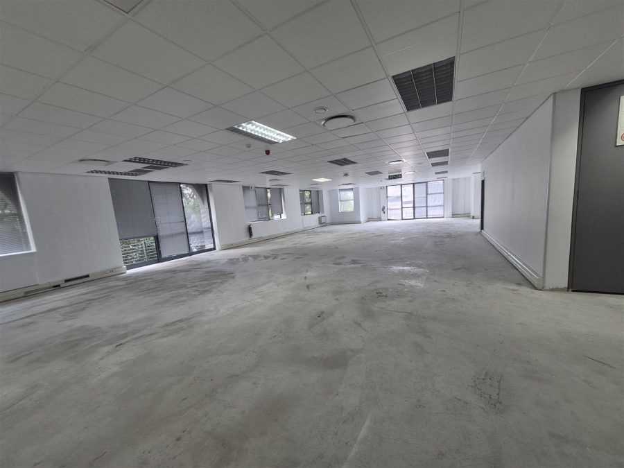 To Let Commercial Property for Rent in Illovo Gauteng