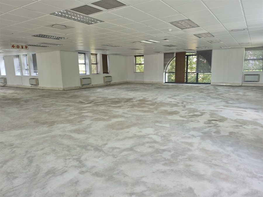 To Let Commercial Property for Rent in Illovo Gauteng