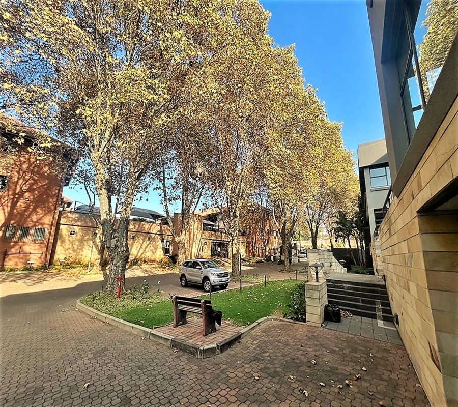 To Let Commercial Property for Rent in Parktown Gauteng