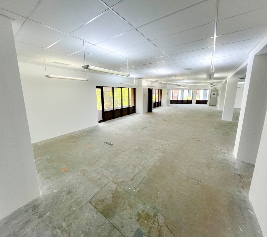 To Let Commercial Property for Rent in Parktown Gauteng