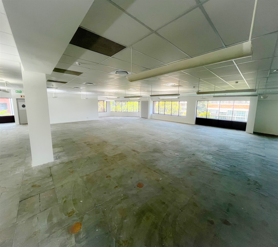 To Let Commercial Property for Rent in Parktown Gauteng