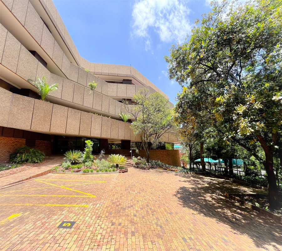 To Let Commercial Property for Rent in Parktown Gauteng